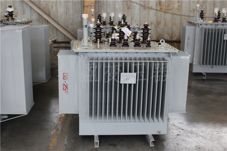 新余S20-800kVA/10kV/0.4kV变压器